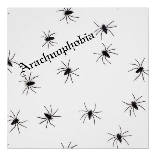 Spider Poster