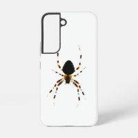 Spider sgcna