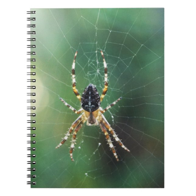 Spider Spider Notebook (80 Pages B&W) (Front)