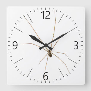 Spider Square Wall Clock