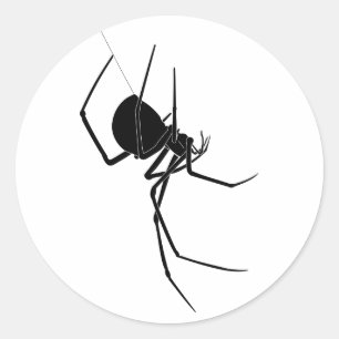 Spider Sticker