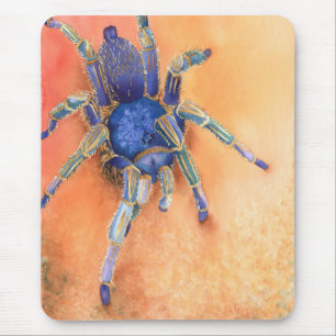 Spider, tarantula mouse pad