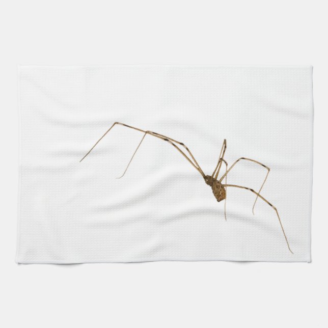 Spider Tea Towel (Horizontal)