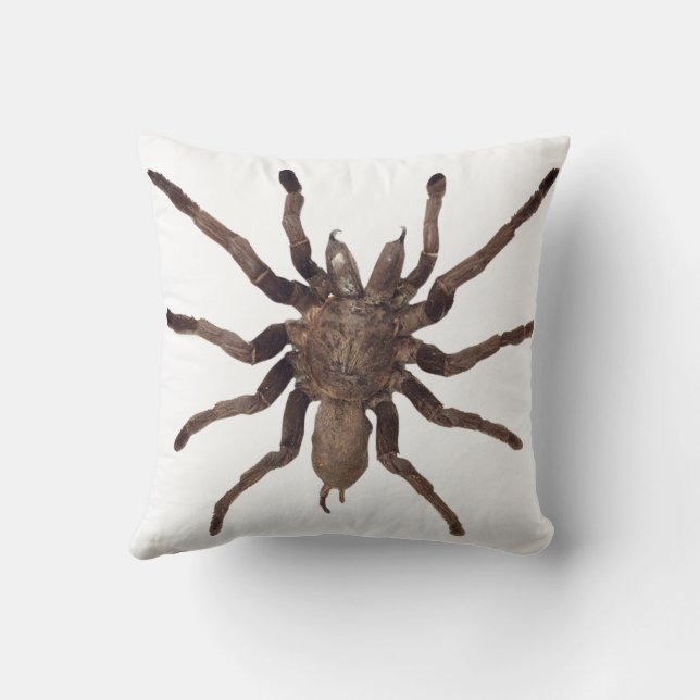 Spider Throw Pillow  (Back)