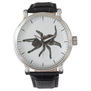 Spider vintage watch