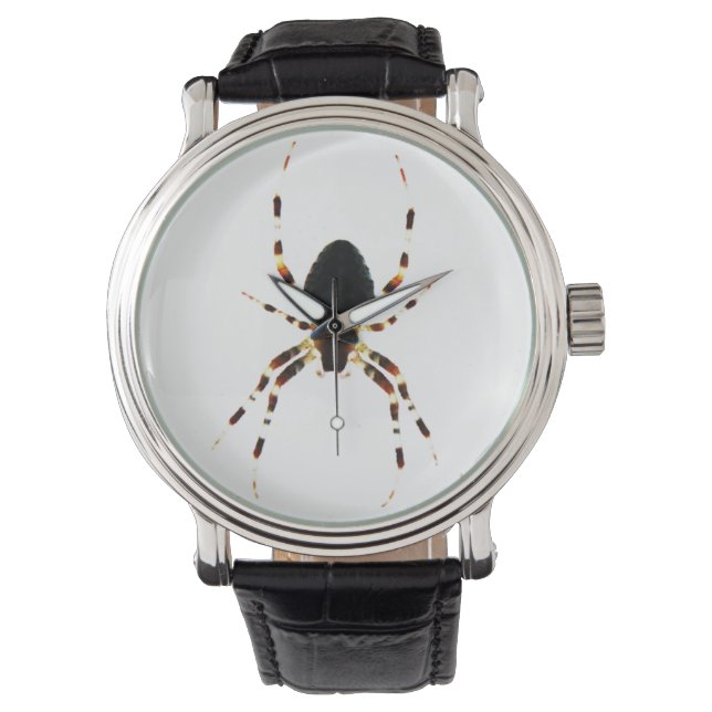Spider wacna watch (Front)