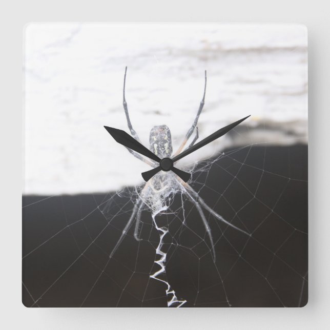 Spider Wall Clock (Front)