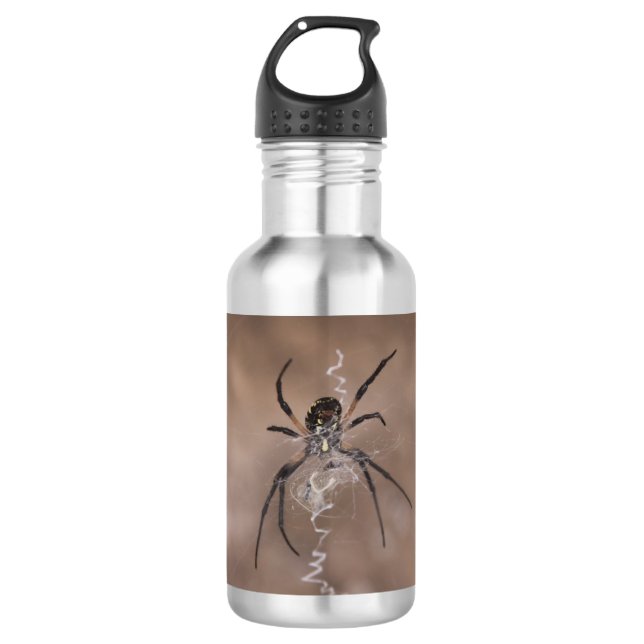 Spider Water Bottle (Front)