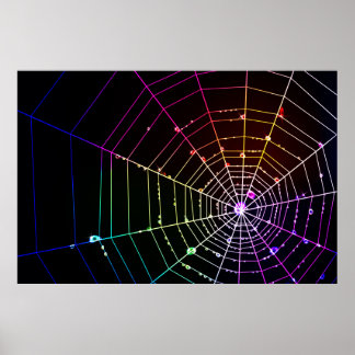 Spider Web 1 Print