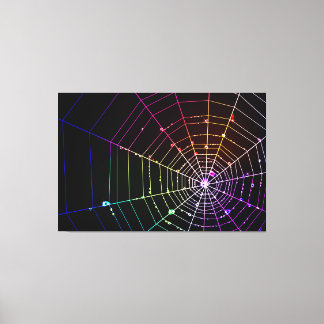 Spider Web 1 Wrapped Canvas