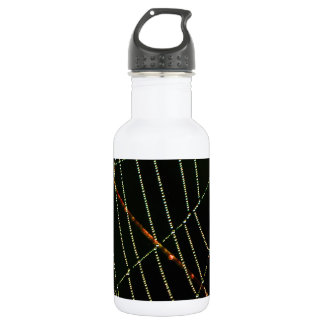 Spider Web 532 Ml Water Bottle