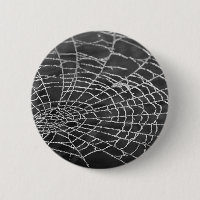 Spider Web