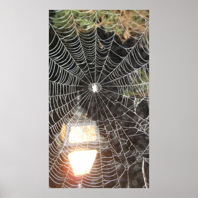 Spider Web at Night Photograph  Arachnology Poster (Front)