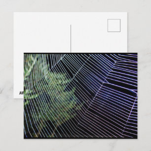 Spider Web at Night Postcard