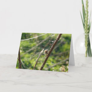 Spider Web Bokeh Card
