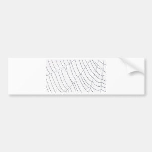Spider Web Bumper Sticker