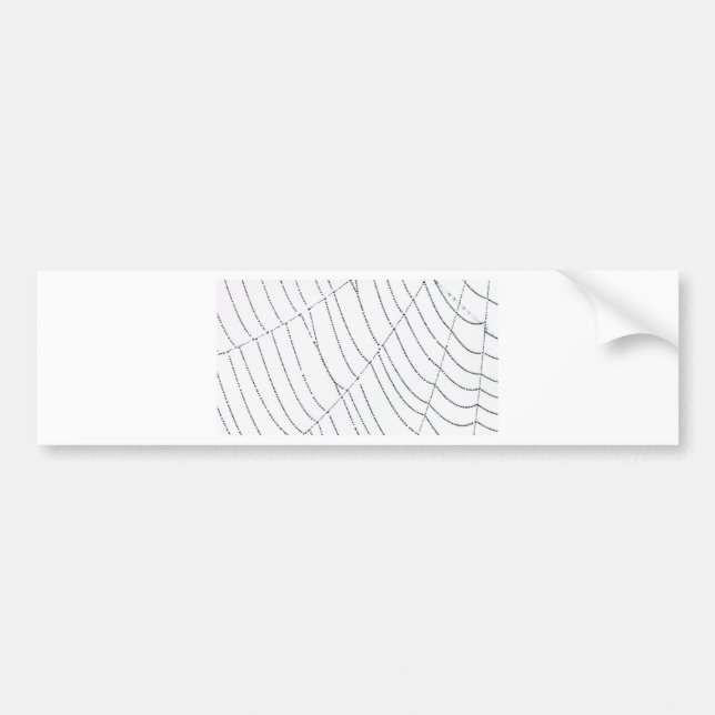 Spider Web Bumper Sticker (Front)