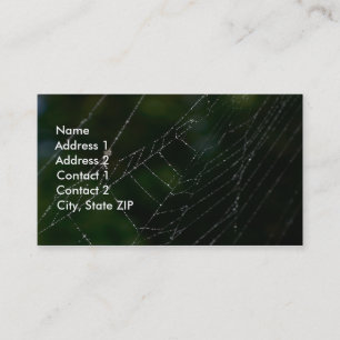 Spider Web Business Card