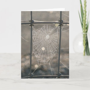 Spider Web Card