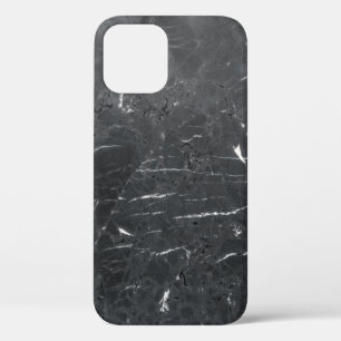 Spider web iPhone 12 case