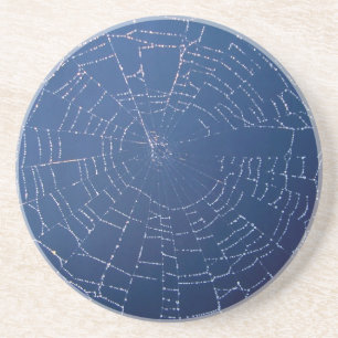 Spider Web Coaster