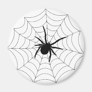 Spider Web Design Magnet
