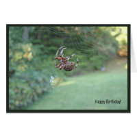 Spider web internet birthday greeting card