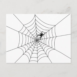 Spider Web Postcard