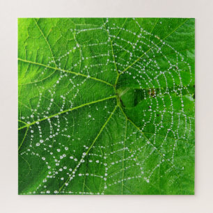 Spider Web & Rain Droplets on Green Leaf Designed Jigsaw Puzzle