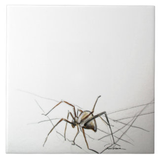 Spider Web Tile