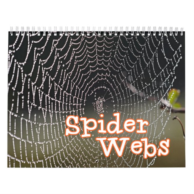 Spider Webs Wall Calendar (Cover)