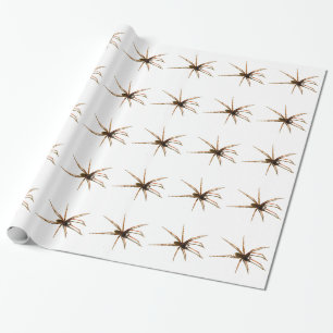 Spider Wrapping Paper