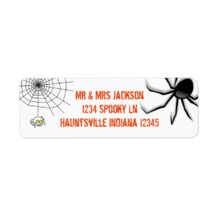 Spiders