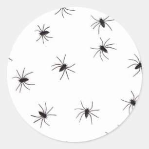 spiders classic round sticker
