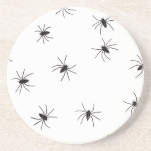 spiders coaster