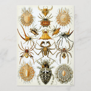 Spiders Invitation