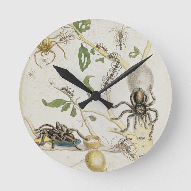 Spiders: Mygole, plate 18 from 'Over de Voorteelin Round Clock (Front)