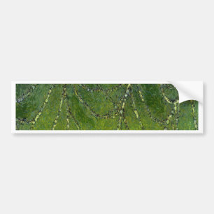 Spiders Web Bumper Sticker
