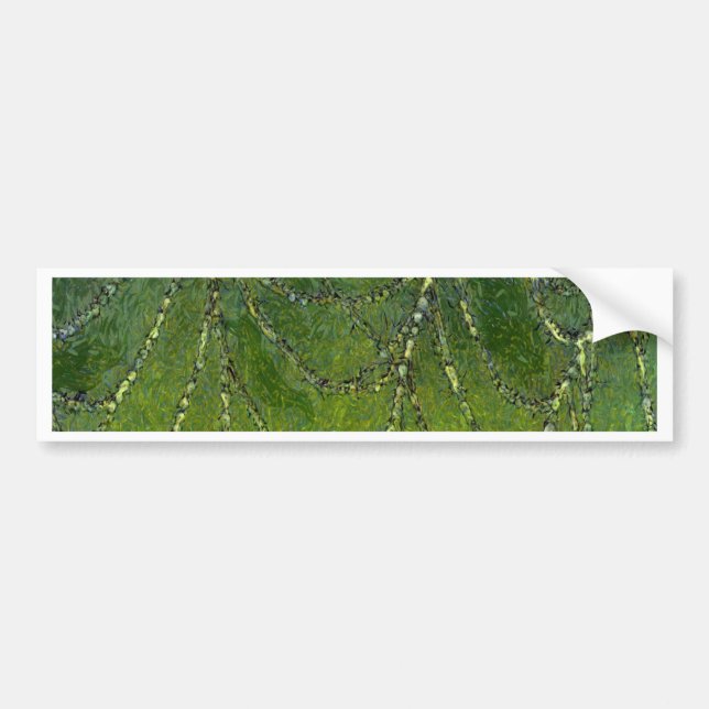 Spiders Web Bumper Sticker (Front)