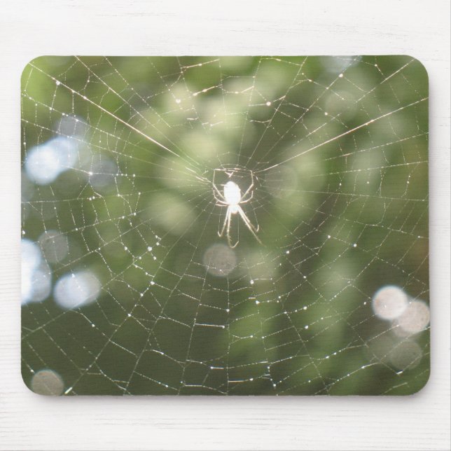 Spider's Web Mousepad (Front)