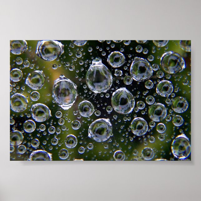 Spiderweb Droplets Poster (Front)
