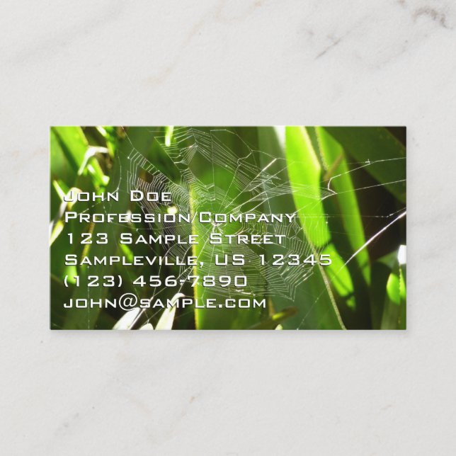 Spiderweb in Tropical Leaves Nature Business Card (Front)