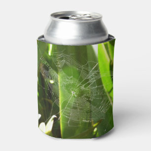Spiderweb in Tropical Leaves Nature Can Cooler