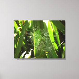 Spiderweb in Tropical Leaves Nature Canvas Print