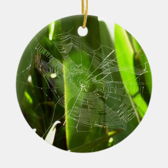 Spiderweb in Tropical Leaves Nature Ceramic Tree Decoration (Front)