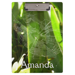 Spiderweb in Tropical Leaves Nature Clipboard