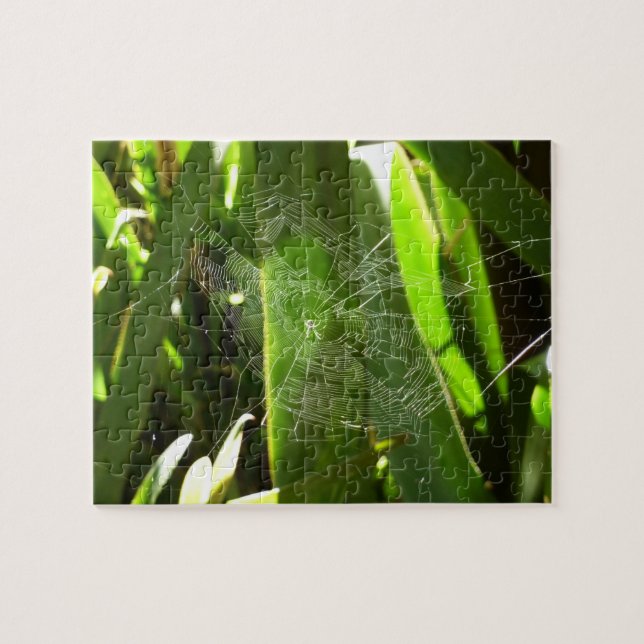 Spiderweb in Tropical Leaves Nature Jigsaw Puzzle (Horizontal)
