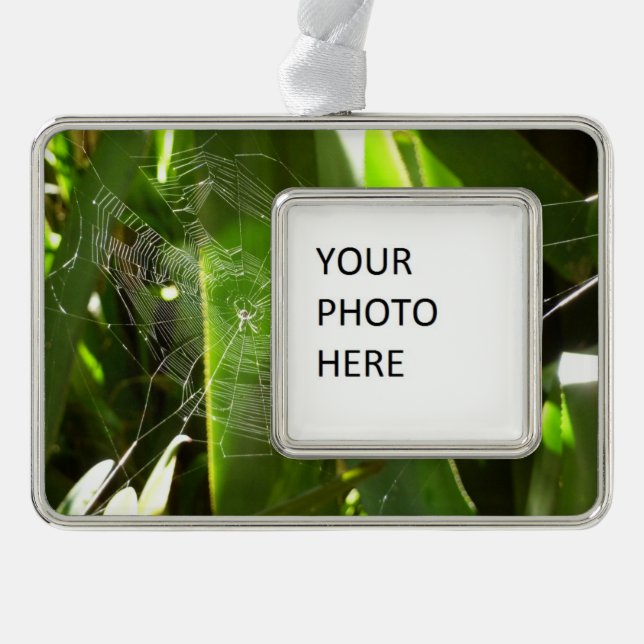 Spiderweb in Tropical Leaves Nature Silver Plated Framed Ornament (Front)