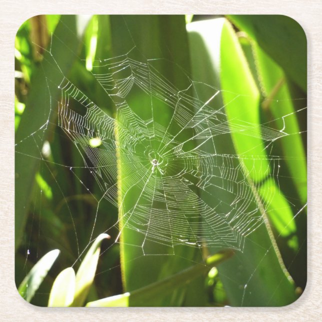 Spiderweb in Tropical Leaves Nature Square Paper Coaster (Front)