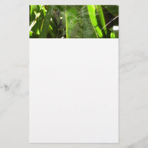Spiderweb in Tropical Leaves Nature Stationery